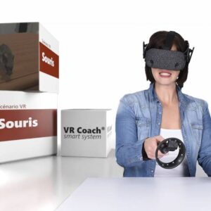 VR Therapie Ängste- VR Szenario Maus